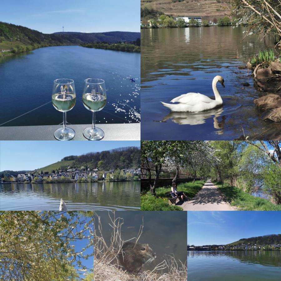 Auszeit Rhein-Mosel Waldesch Exterior foto